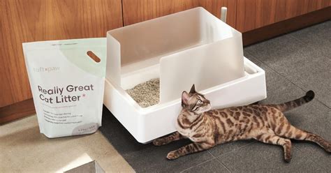 best natural litter for cats